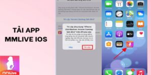 Quy Trình Tải MMLive Trên iOS