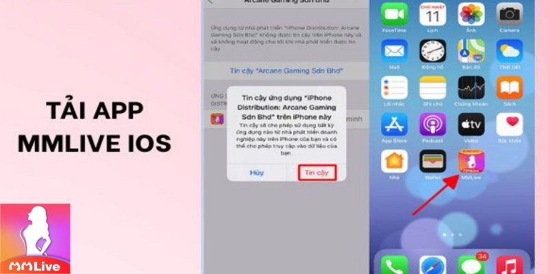 Quy Trình Tải MMLive Trên iOS