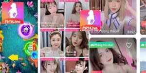 Báo cáo thu nhập affiliate bao gồm những gì