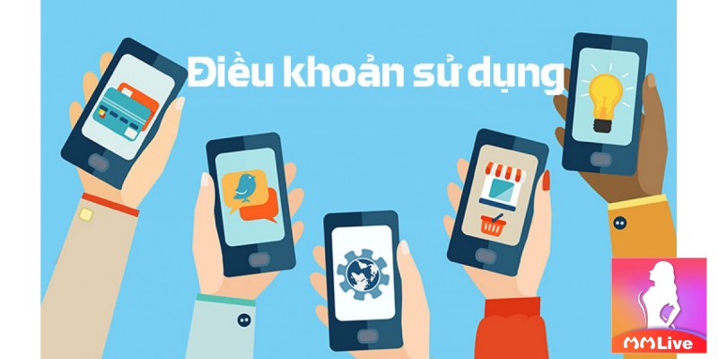 Các Hành Vi Bị Cấm Trên MMLive