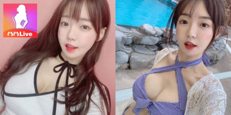 Pháp lý của MMLive tại Việt Nam