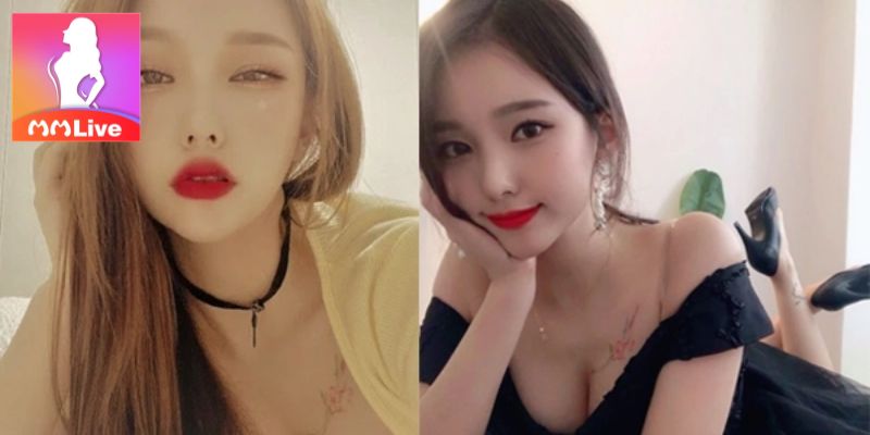 Quyền lợi của người dùng
