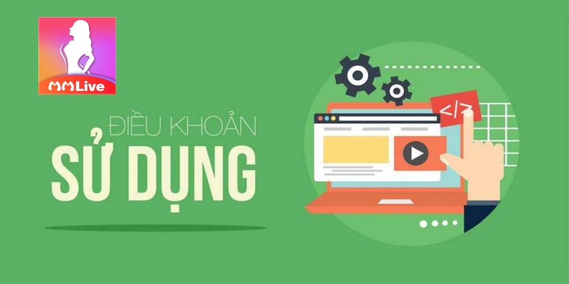 Tổng Quan Về Điều Khoản Sử Dụng MMLive
