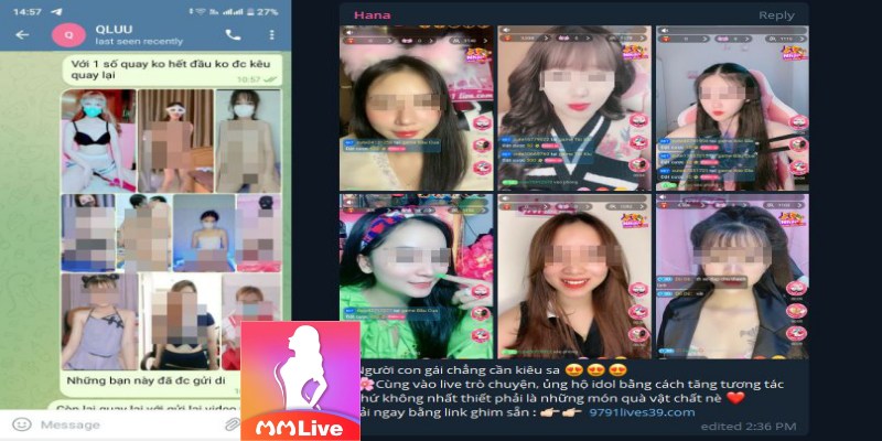Tổng quan về mmlive và Telegram